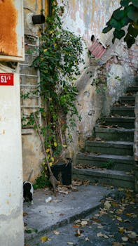 Alkavan Yrityksen Rahoitusmahdollisuudet: Ohjeet Ja Vinkit