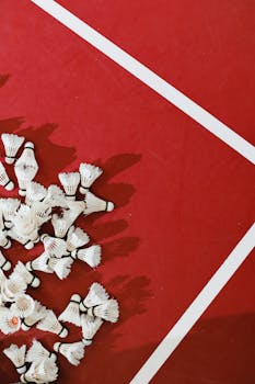 S Etukortti Hinta: Hinnat Ja Käyttötavat Kasinosääntöjen Ja Etujen Näkökulmasta