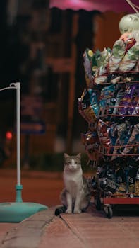 Limiitti Joustoluotto: Miten Hallita Rahoitustasi Joustavasti