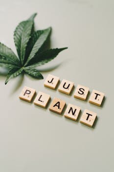 Yrityslainaa Heti – Nopeat Rahoitusratkaisut Yrityksille