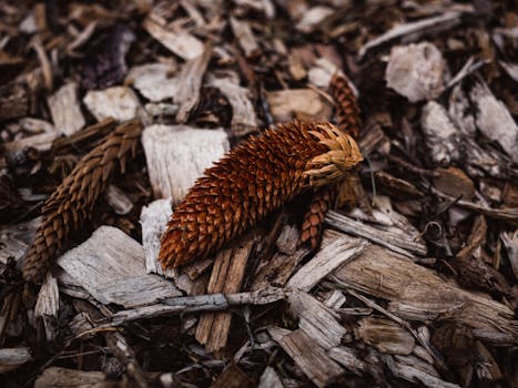 Helppo Ja Nopea Kasinoa Kotiutus: Simppeli Kasino Kotiutusopas