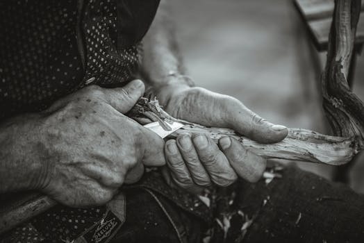 Spinz Kotiutus Kesto: Tuoreimmat Tiedot Ja Kokemukset Suomalaisilta Pelaajilta