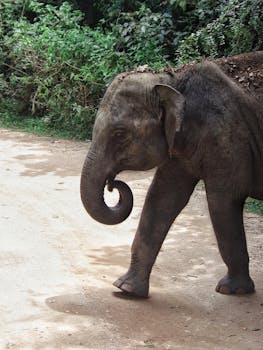 Pikakasino Paras Peli: Paras Valinta Kasinopelien Ystäville