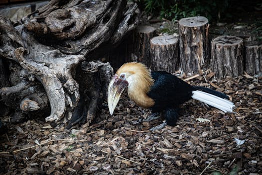 12 Kk Euribor S Pankki: Vaikutus Asuntolainoihin Ja Korkomarkkinoihin