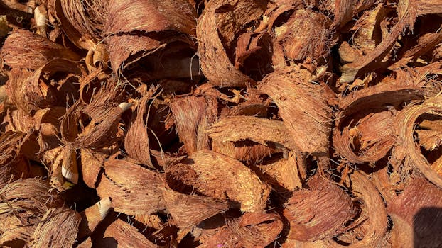 Lainojen Yhdistäminen Alle 18-vuotiaana Suomessa