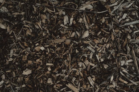 S-etukortti Ilmaiseksi: Näin Saat Ja Hyödyt S-Etukortin Eduista