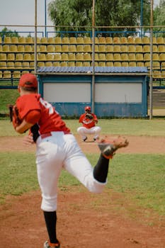 Kuinka Ison Lainan Voi Saada: Lainan Määrä Ja Hakuprosessi