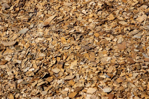 Auton Rahoitus Yksityisellä Myyjällä: Autorahoitus Yksityinen Myyjä