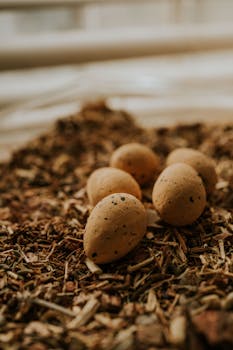 S Bonus Käteiskortti: Kuinka Hyödyntää Ja Ymmärtää Käteisen Ja Bonusjärjestelmien Vaihtelua