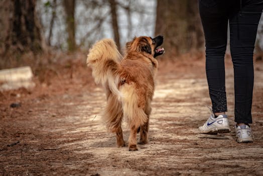 Järjestelylaina Ja Sen Rooli Velkojen Hallinnassa: Näin Nordea Auttaa Talouden Tasapainottamisessa