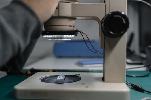 Ruletti Kerroinvertailu: Kuinka Ymmärtää Voittokertoimet Ja Riskit