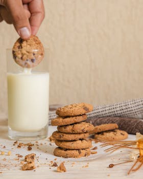 Pikavippi Kilpailutus: Parhaat Tarjoukset Ja Vertailu Suomessa 2026