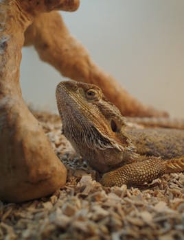 Mr Green Luotettavuus: Verkkokasinoiden Arviointi Suomalaisessa IGaming-markkinassa