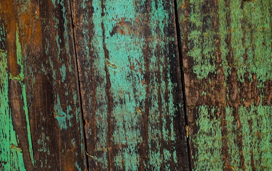 OP Private Visa Platinum - Detailed Overview Of Benefits And Features