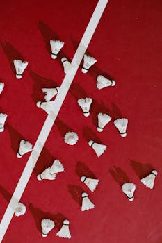 Lainatarjouksen Hyväksyminen Ja Siihen Liittyvät Prosessit