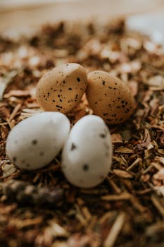 Luottokortti Ja Sen Käyttötavat Rahoituksen Ja Arjen Tarpeisiin