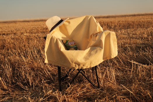 Nopeasti Casino: Nopeat Ja Luotettavat Kasinopalvelut Suomessa