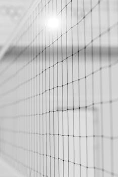 S Bonus Kortti Hinta: Mitä Se Käytännössä Tarkoittaa Ja Miten Hinta Määräytyy