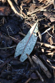 Op Korko Ja Siihen Vaikuttavat Tekijät: Op Korko