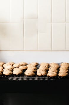 Ninja Casino Ilmaiskierrokset: Parhaat Tarjoukset Ja Vinkit