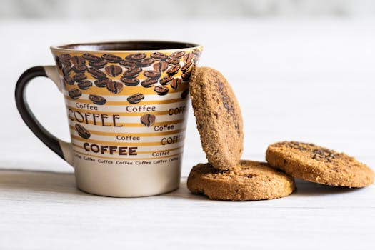 Ilmaista Pelirahaa Ilman Talletusta Ja Kierrätystä 2026: Parhaat Kasinotarjoukset Ja Vinkit