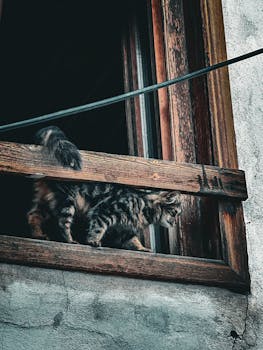 Luckydino Kotiutus: Ohjeet Ja Prosessit Suomlaisille Pelaajille