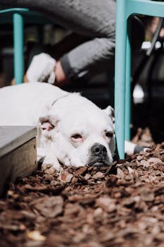 Bank Norwegian Kokemuksia: Kasino Ja Vedonlyöntiominaisuudet