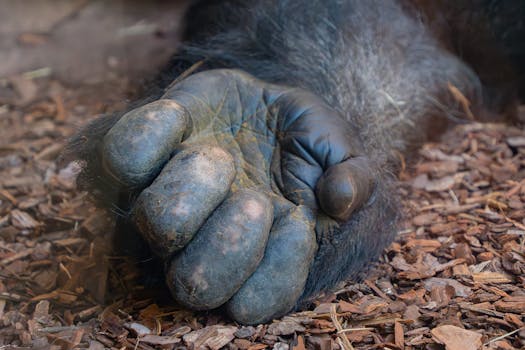 15000 Euron Lainan Vertailu Ja Mahdollisuudet Kasino- Ja Rahapeliaiheisissa Sisältöartikkeleissa