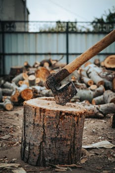 Hae S Etukorttia: Opas Kasinopelaamiseen Ja Bonuksia Varten