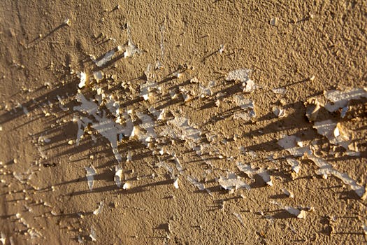 Säästöpankki Vakuudeton Laina: Mahdollisuudet Ja Käytännöt