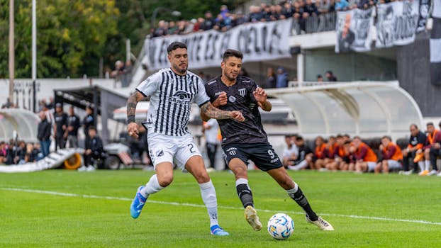 Asp Laina Ja Asunnon Vuokraus: Opas Vuokrausmahdollisuuksiin Ja Säästöihin